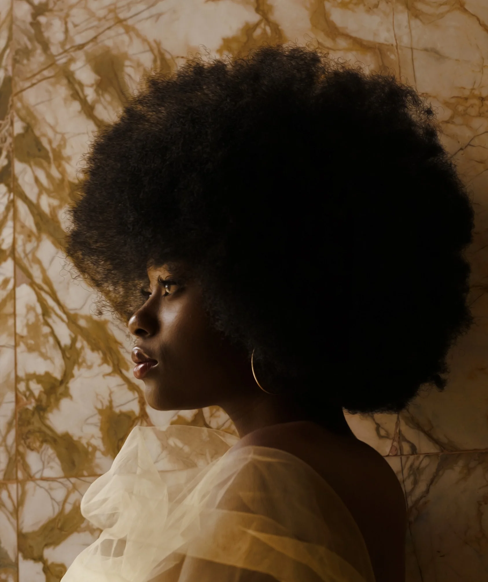 Afro Backlit Portrait