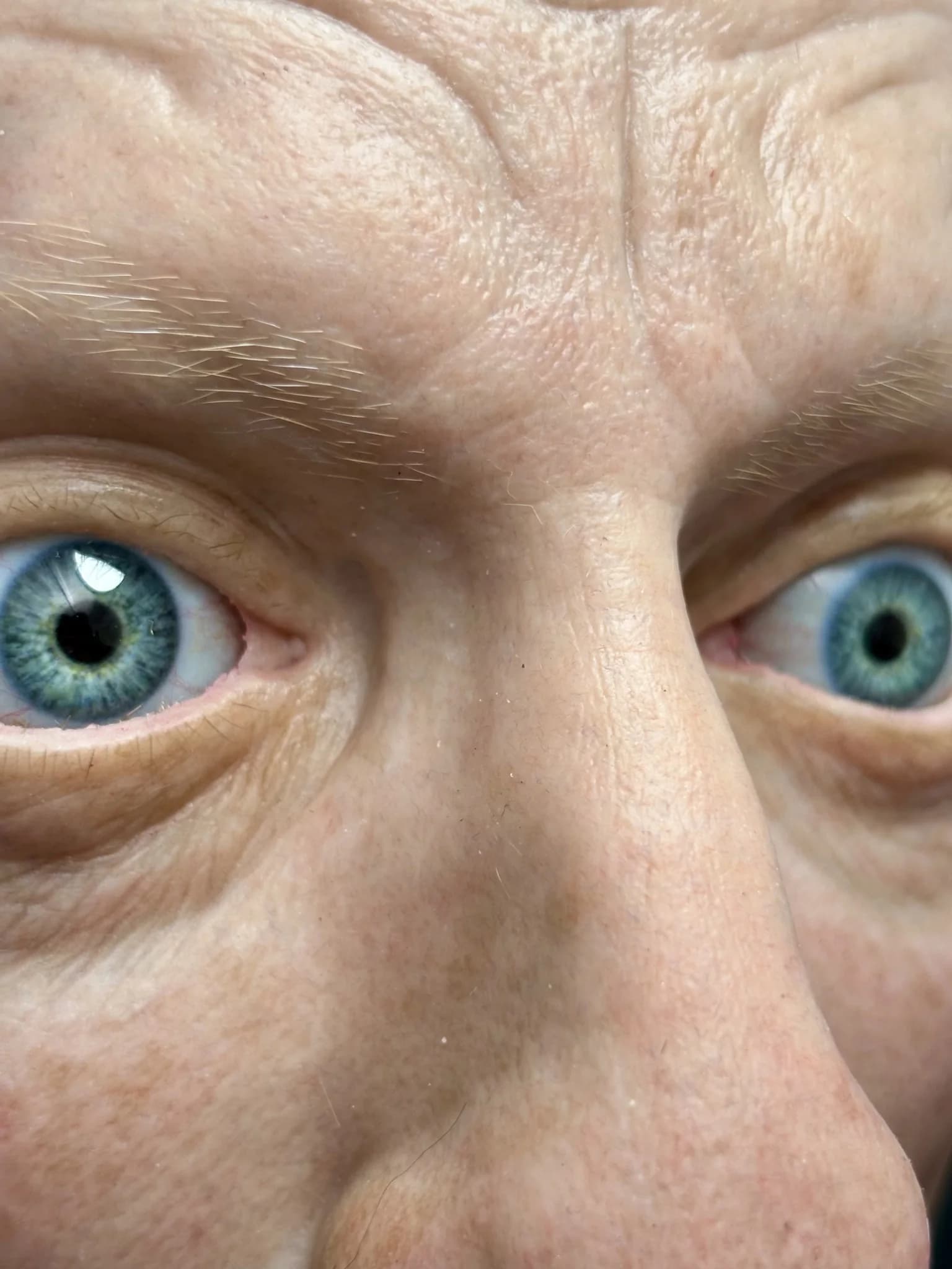 Blue Eyes Closeup
